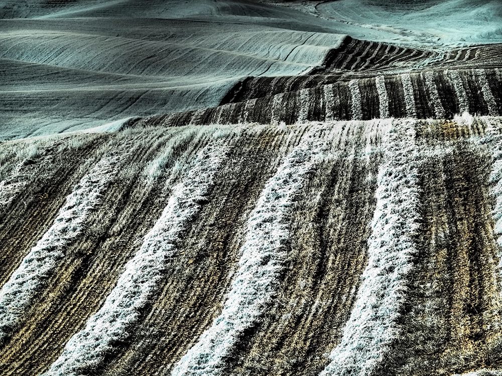 USA-Washington State-Palouse region-Harvest cut lines in Field